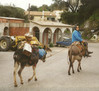 Corfu ezelvervoer